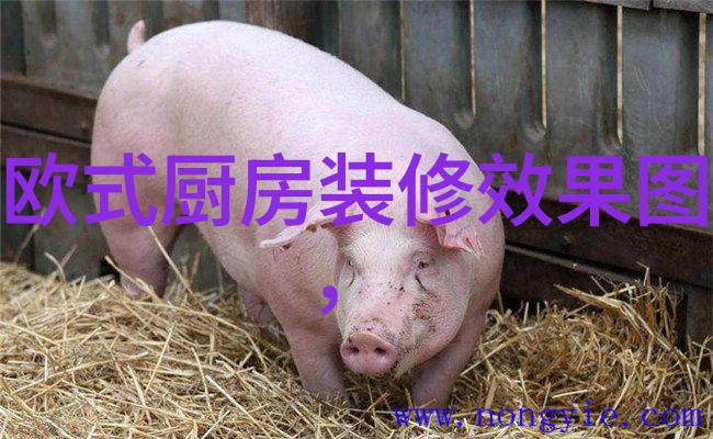 如何规划8至15平方米的厨房空间打造高效舒适的厨房布局
