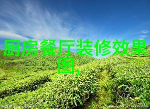 告别防水维修天价陷阱东方雨虹推出全新服务品牌